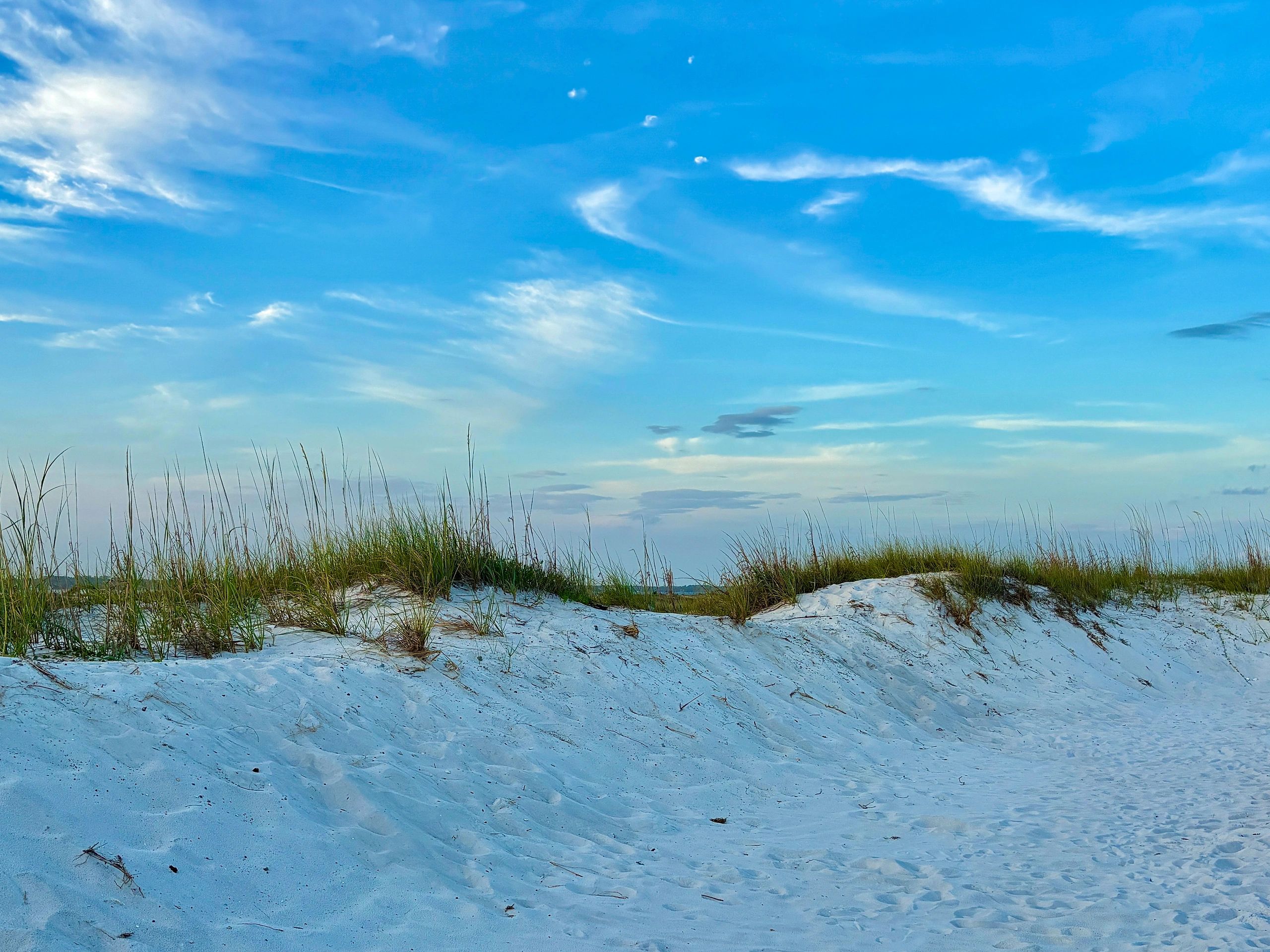 Natural sandy shoreline and dunes representing Honeymoon Island State Park