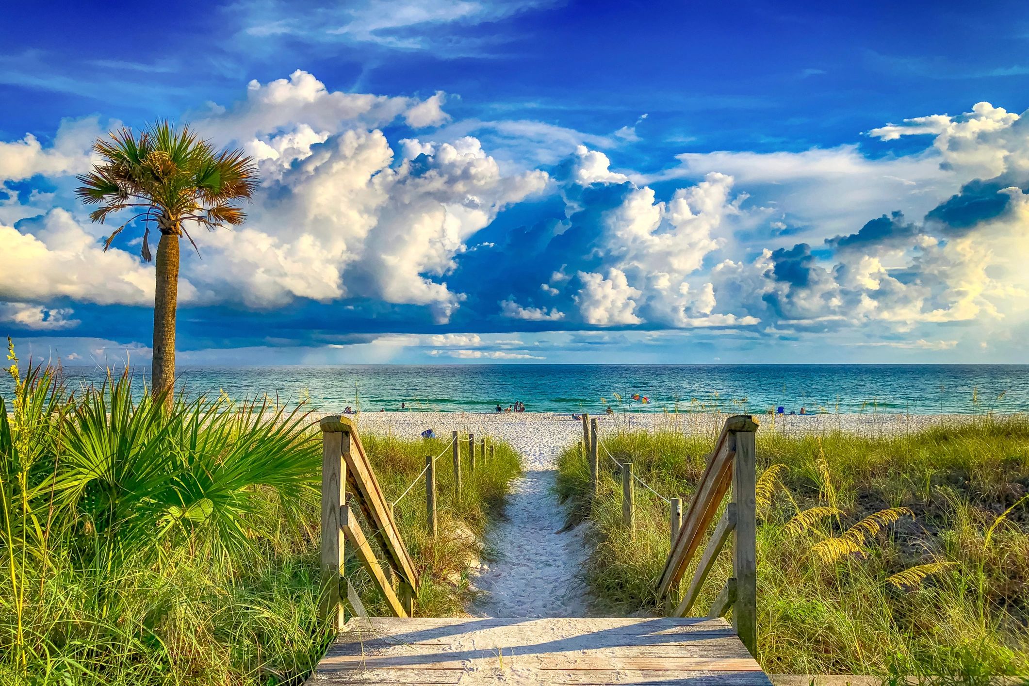 Boardwalk path leading toward the beach and ocean