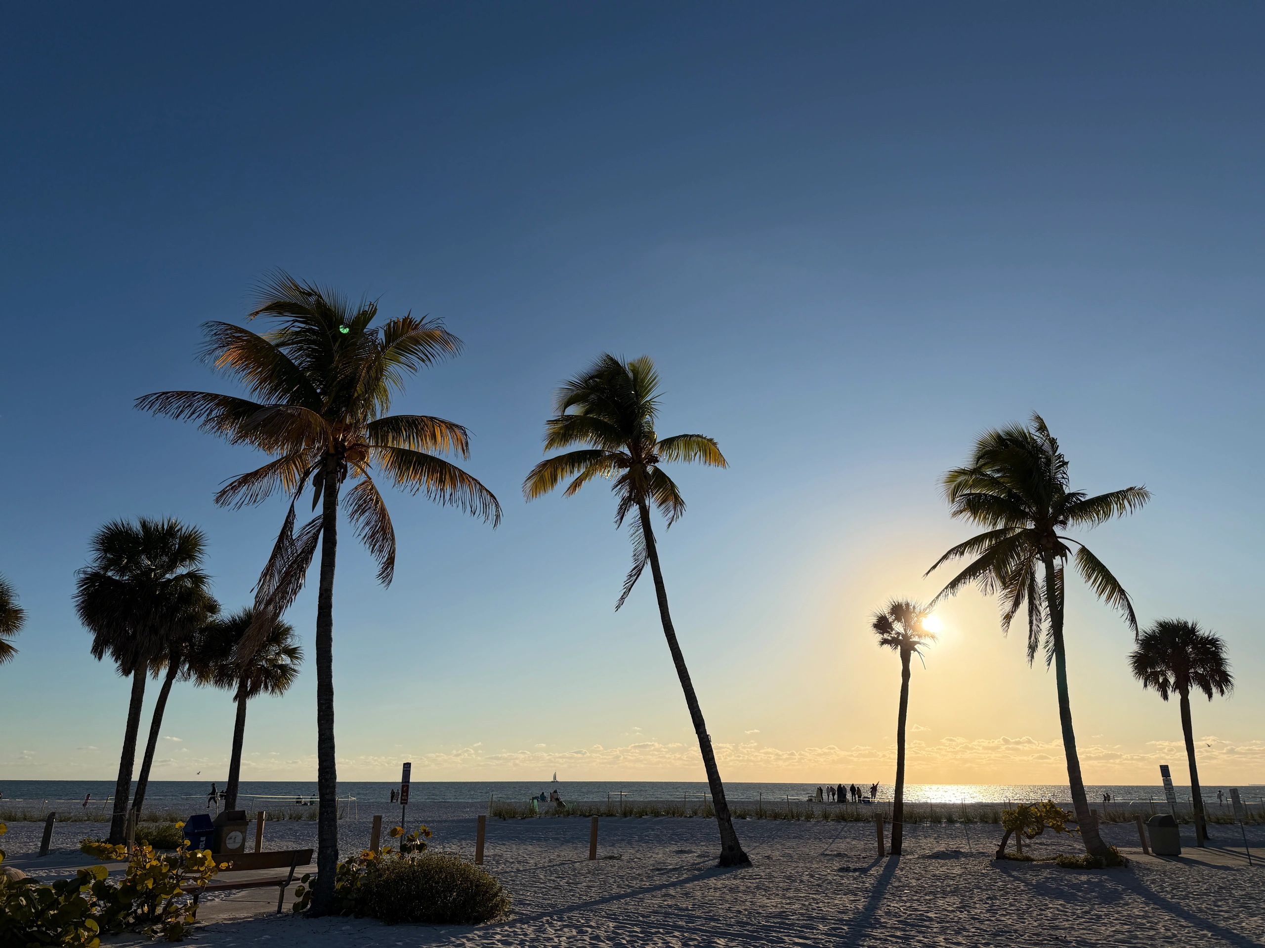 Fort Myers Beach sunset with palm trees and sandy shore