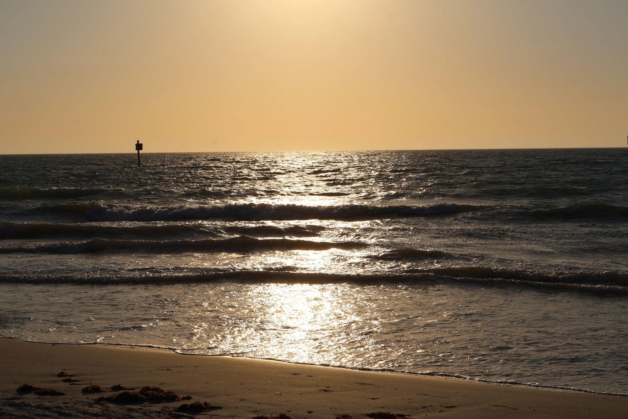 Calm Florida shoreline with soft sand and gentle waves