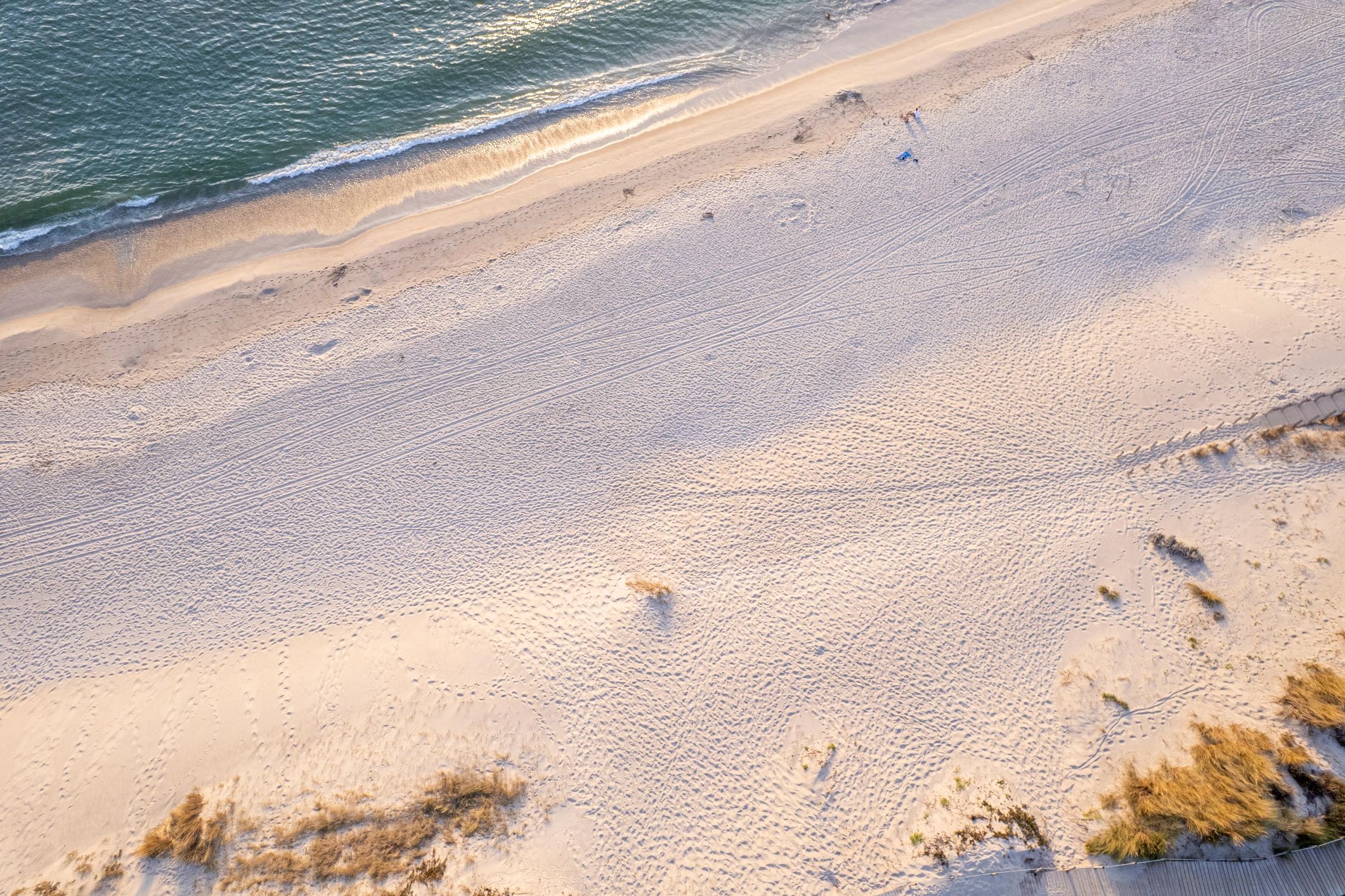 Sandy beach shoreline with dunes